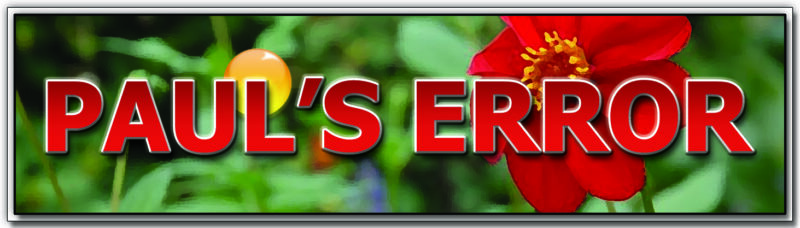 04_PAULSERROR