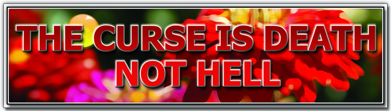 06_THECURSE 06_THECURSE